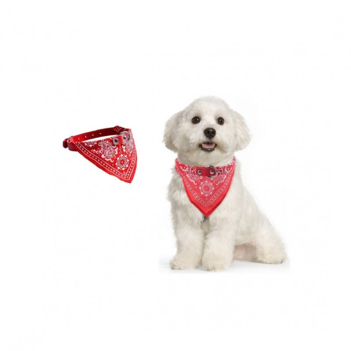 Zgarda cu bandana The Coolest, pentru caini de talie medie/mare, confortabila, 35/45 cm, rosie [6]
