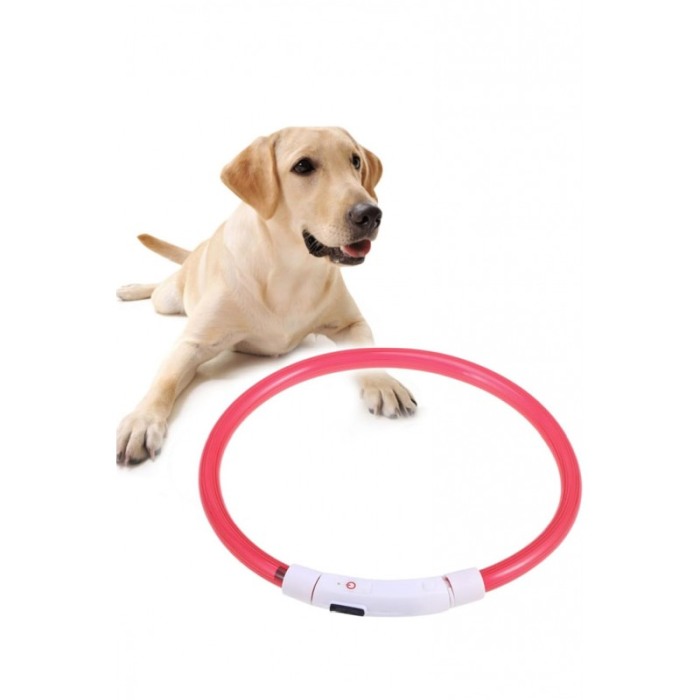 Zgarda cu LED pentru caini de talie medie SafeDoggo Doty®, Marime M, 50 cm, USB inclus, reglabila, 3 tipuri de iluminare, rosu [1]