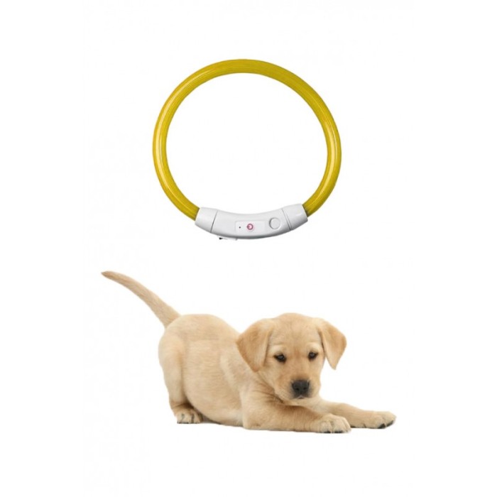 Zgarda cu LED pentru caini de talie mica SafeDoggo Doty®, Marime S, 35 cm, USB inclus, reglabila, 3 tipuri de iluminare, galben [4]