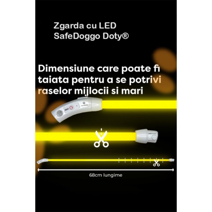 Zgarda cu LED pentru caini de talie mica SafeDoggo Doty®, Marime S, 35 cm, USB inclus, reglabila, 3 tipuri de iluminare, galben [3]