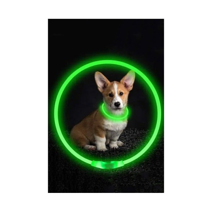 Zgarda cu led pentru caini, talie mica/medie, 35 cm, reglabila, verde, reincarcabila, USB inclus, Doty®️ [1]