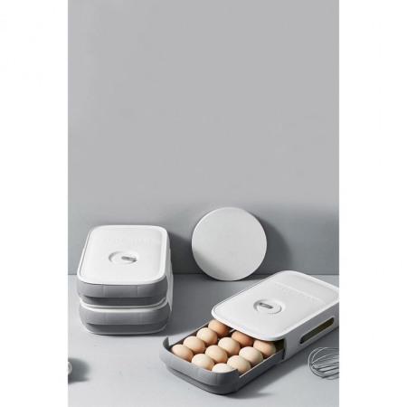 Caserola tip cutie pentru oua EGGS, cu afisarea datei, capacitate 19-21 oua, 32 x 21 x 8 cm, Doty®️ [3]