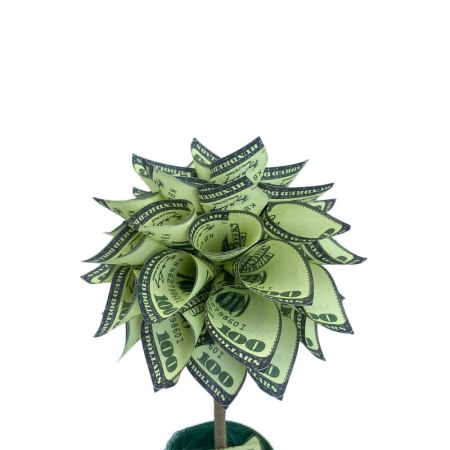 Copac decorativ USD Tree, in ghivechi, design creativ,model dolari, 34 cm, verde [2]