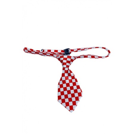 Cravata Fashion Raley, pentru animale de companie, mici,44-32 cm, reglabila, model carouri,rosu/alb [2]
