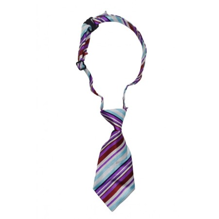 Pisici - Cravata Fashion Raley, pentru animale de talia mica, 44-32 cm, reglabila, model dungi, multicolora, Doty®