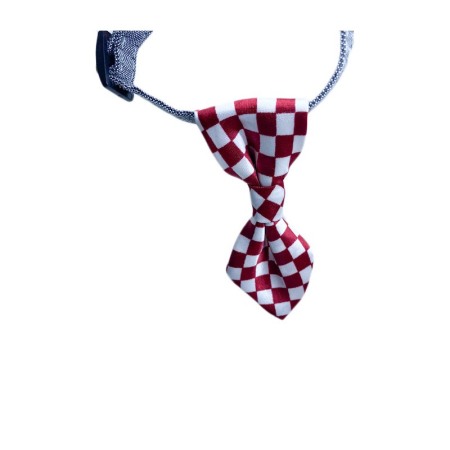 Cravata Ring Raley, pentru animale de companie, mici,32-24 cm, reglabila, clopotel inclus, model carouri, rosu/alb [3]