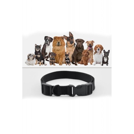 Echipament dresaj First Paw format din zgarda cu vibratii si electrosoc, telecomanda , baterii incluse,distanta pana la 300 m,ec [0]