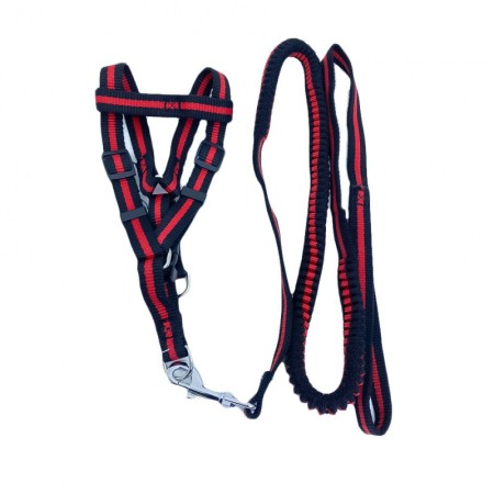 Lese și zgărzi pentru câini - Lesa cu ham Baxter pentru caini de talie foarte mica, rezistenta,ajustabila,amortizor,125 cm, rosu/negru