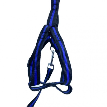 Lesa cu ham Baxter pentru caini de talie medie spre mare, rezistenta,ajustabila,amortizor,125 cm, albastru/negru [4]