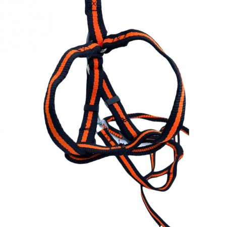 Lesa cu ham Baxter pentru caini de talie mica, rezistenta,ajustabila,amortizor,125 cm, portocaliu/negru [1]