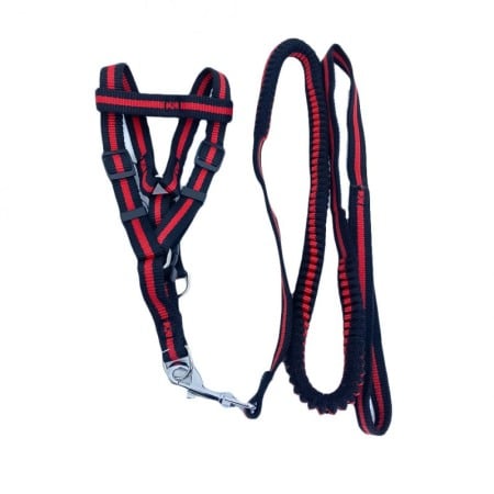 Lese și zgărzi pentru câini - Lesa cu ham Baxter pentru caini de talie mica, rezistenta,ajustabila,amortizor,125 cm, rosu/negru