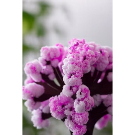 Mini Arbore cu cristale Cherry Blossom Crystal Tree DIY Kit Doty®, set artizanat, non-toxic, flori de cires, 23x18x3 cm, roz [6]