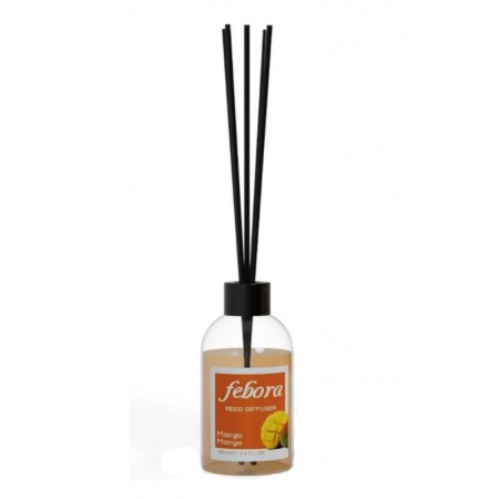 CURATENIE & INTRETINERE - Odorizant de camera Febora Scent, aroma mango, 100 ml, sticla transparenta, betisoare ratan, Doty®️
