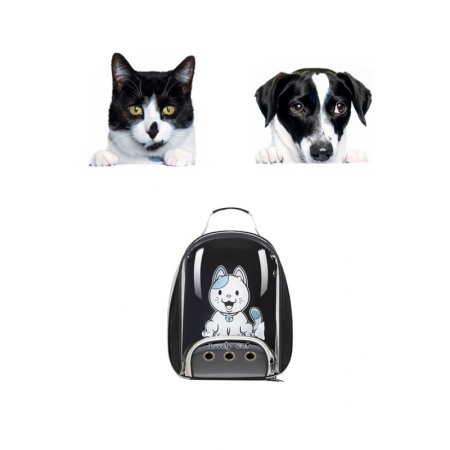 Pisici - Rucsac pentru animale de companie de talie mica PetBackpack, spatii aerisire, spate transparent, 45x35x17cm, negru, Doty®