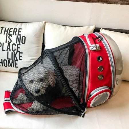 Rucsac rosu cu capsula transparenta,pentru caini si pisici de talie mica si medie, spate extensibil,spatiu respirabil, Doty [0]