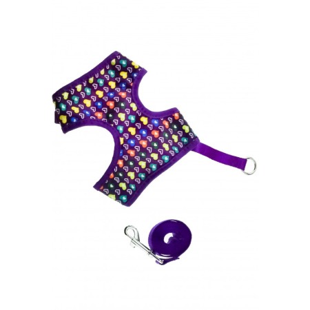 Set ham cu lesa pentru caini sau pisici cu inimioare, tip Vesta, masura universala, albastru, Doty [2]