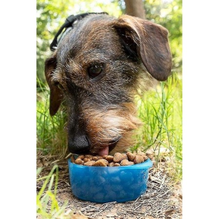 Sticla 2 in 1 Pet Double Bottle, pentru animalele de companie, 330 ml, portabila, pentru lichide si hrana, albastru, Doty®️ [9]