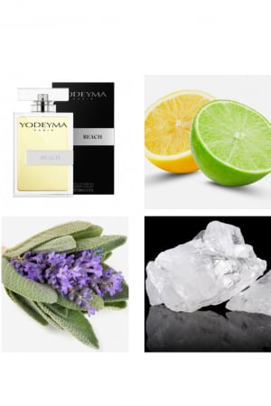 Yodeyma Beach Apa de parfum pentru barbati, nuante de citrice, salvie si mosc alb, 100ml [1]