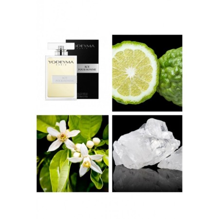 Yodeyma Ice Pour Homme Apa de parfum pentru barbati, nuante de bergamota, Floare de Pomelo si mosc alb, 100ml [3]