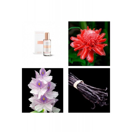 Yodeyma Temis Apa de parfum pentru femei, nuante de Floare de Ghimbir, Iasomie de apa si vanilie, 15ml [3]