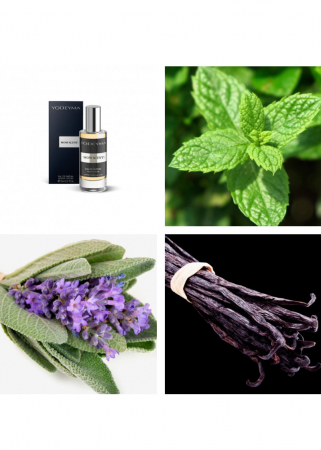 Yodeyma Wow Scent! Apa de parfum pentru barbati, nuante de menta, salvie si vanilie, 15ml [1]