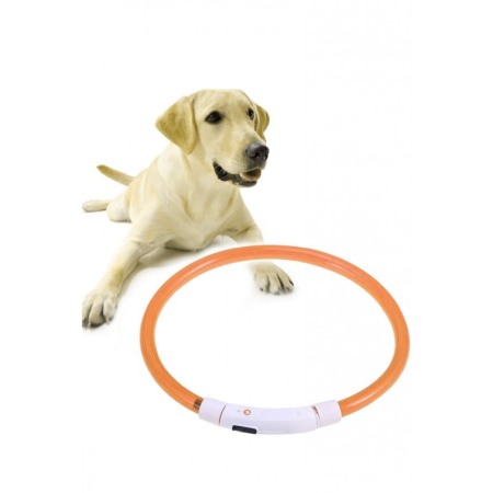 Câini - Zgarda cu LED pentru caini de talie medie SafeDoggo Doty®, Marime M, 50cm, USB , reglabila, 3 tipuri de iluminare, portocaliu