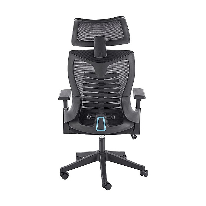 Scaun birou ergonomic HM Polon, mesh, mecanism inclinare, baza polipropilena, suport lombar, tetiera, 100 kg, negru [6]