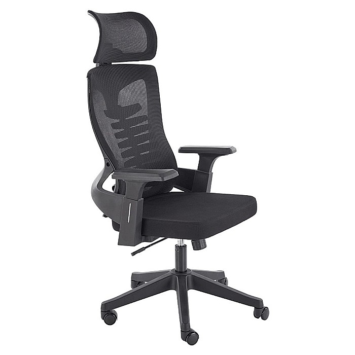 Scaun birou ergonomic HM Polon, mesh, mecanism inclinare, baza polipropilena, suport lombar, tetiera, 100 kg, negru [11]