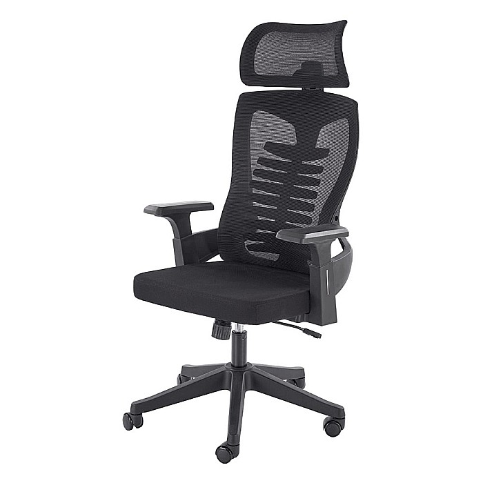 Scaun birou ergonomic HM Polon, mesh, mecanism inclinare, baza polipropilena, suport lombar, tetiera, 100 kg, negru [2]