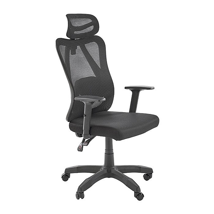 Scaun birou ergonomic HM Ramos, mesh, mecanism multiblock, baza polipropilena, suport lombar reglabil, cotiere ajustabile, 120 kg, negru [1]