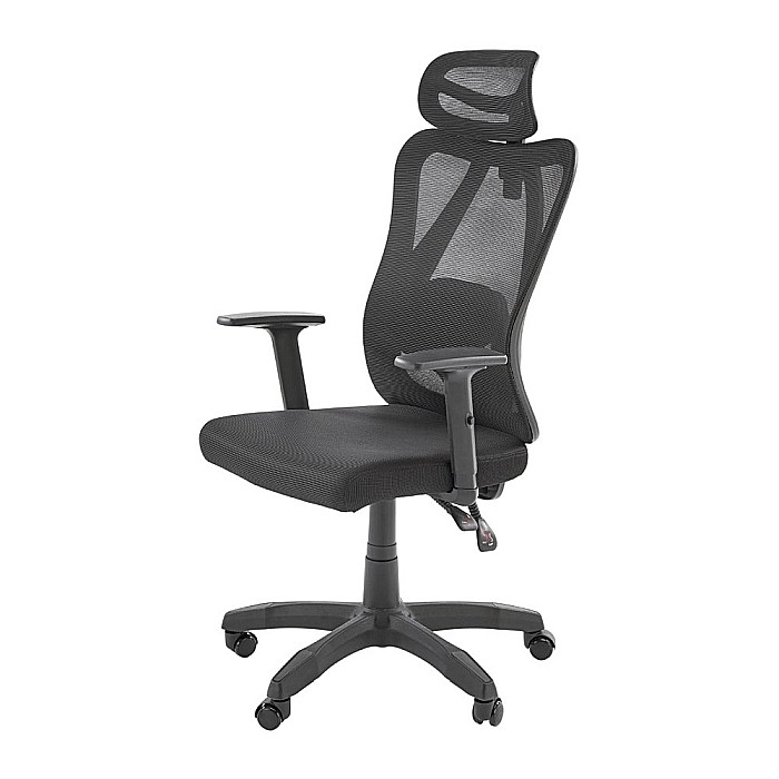 Scaun birou ergonomic HM Ramos, mesh, mecanism multiblock, baza polipropilena, suport lombar reglabil, cotiere ajustabile, 120 kg, negru [7]
