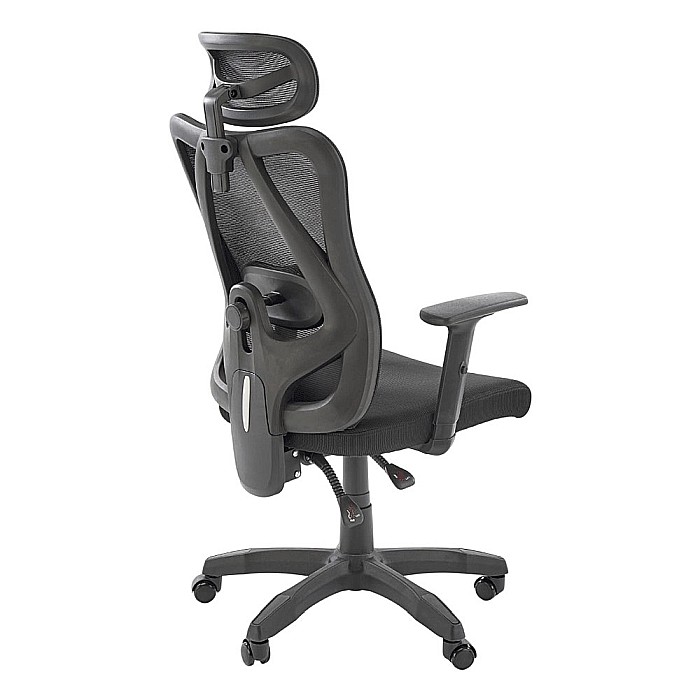 Scaun birou ergonomic HM Ramos, mesh, mecanism multiblock, baza polipropilena, suport lombar reglabil, cotiere ajustabile, 120 kg, negru [2]