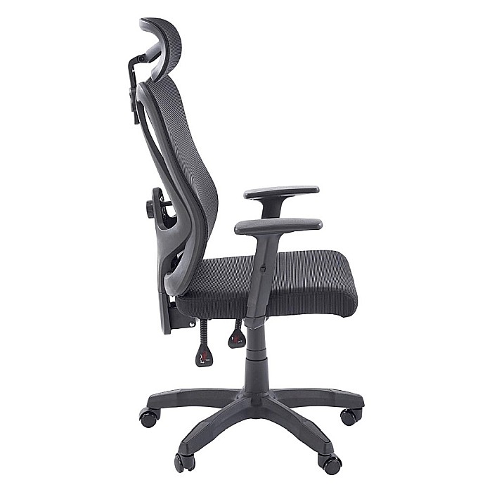 Scaun birou ergonomic HM Ramos, mesh, mecanism multiblock, baza polipropilena, suport lombar reglabil, cotiere ajustabile, 120 kg, negru [4]