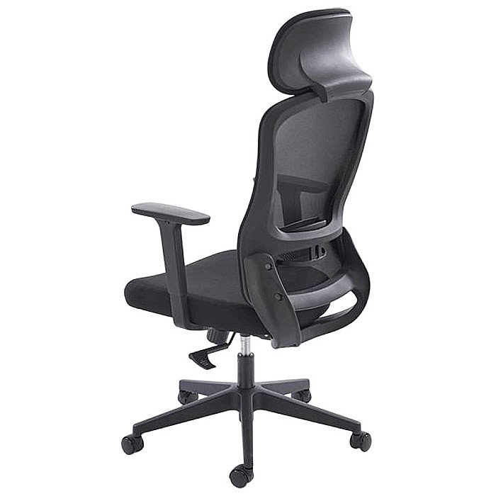 Scaun birou ergonomic HM Sonar, mesh, mecanism multiblock, suport lombar, cotiere reglabile,120 kg, negru [7]