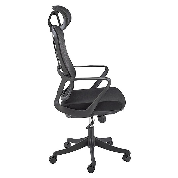 Scaun birou ergonomic HM Vesuvio, mesh, mecanism balans, baza polipropilena, suport lombar, tetiera ajustabila,120 kg, negru [3]