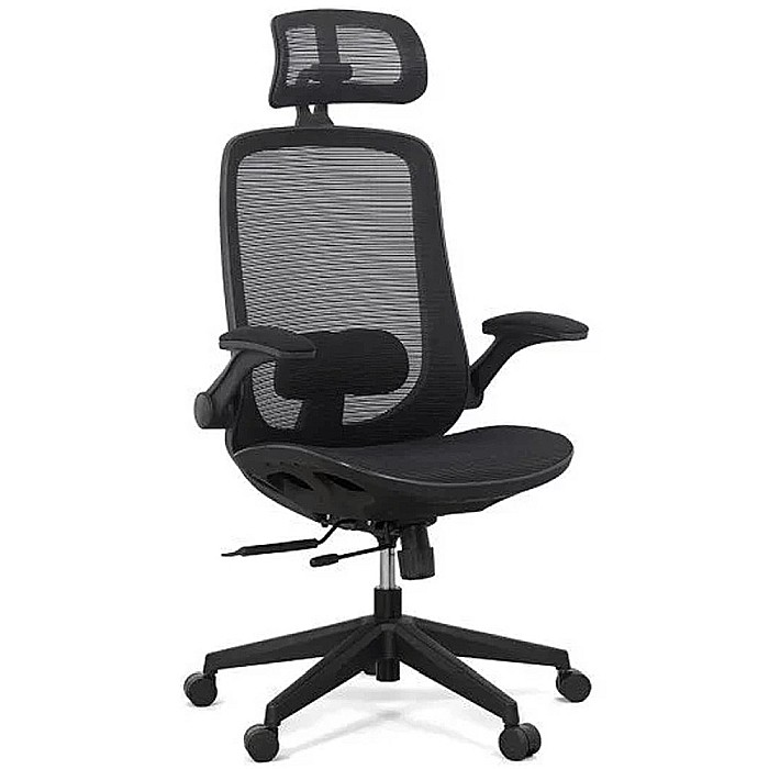 Scaun birou ergonomic multifunctional SYYT 9509, mesh, suport lombar reglabil, tetiera ajustabila, multiblock, 120 kg [2]