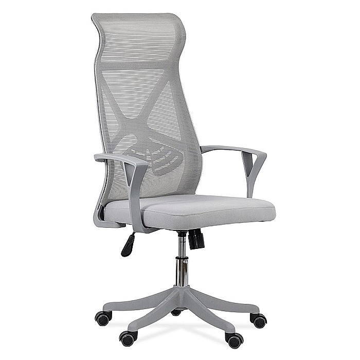Scaun de birou ergonomic OFF 431, mesh, suport lombar, mecanism de inclinare, roti gumate, cadru polipropilena, 100 kg [3]