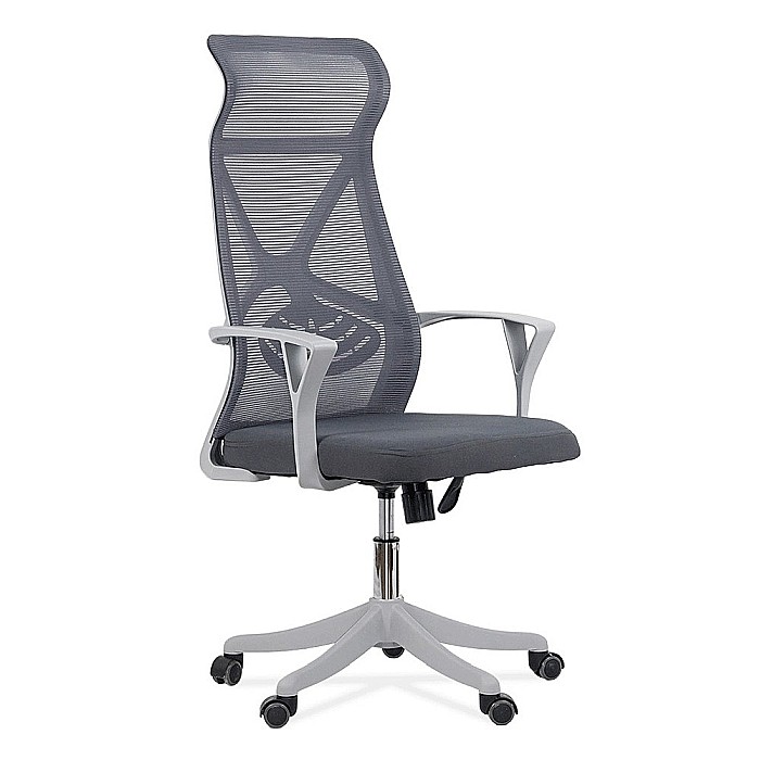 Scaun de birou ergonomic OFF 431, mesh, suport lombar, mecanism de inclinare, roti gumate, cadru polipropilena, 100 kg [2]