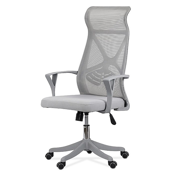 Scaun de birou ergonomic OFF 431, mesh, suport lombar, mecanism de inclinare, roti gumate, cadru polipropilena, 100 kg [2]