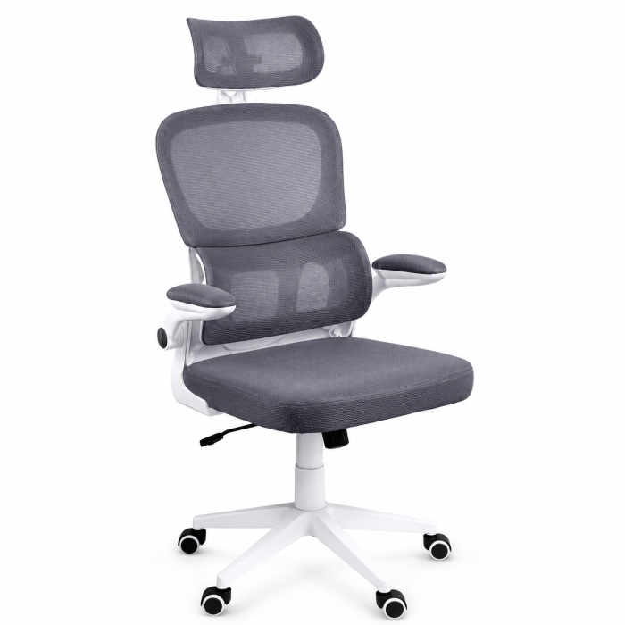 Scaun de birou OFF 432 cu mesh, ergonomic, suport lombar, brate rabatabile, 110 kg [2]