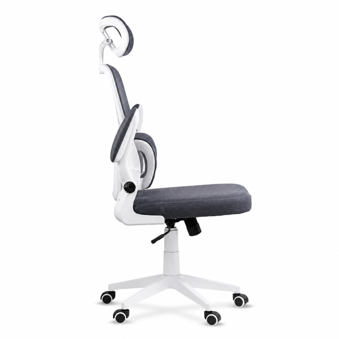 Scaun de birou OFF 432 cu mesh, ergonomic, suport lombar, brate rabatabile, 110 kg [4]