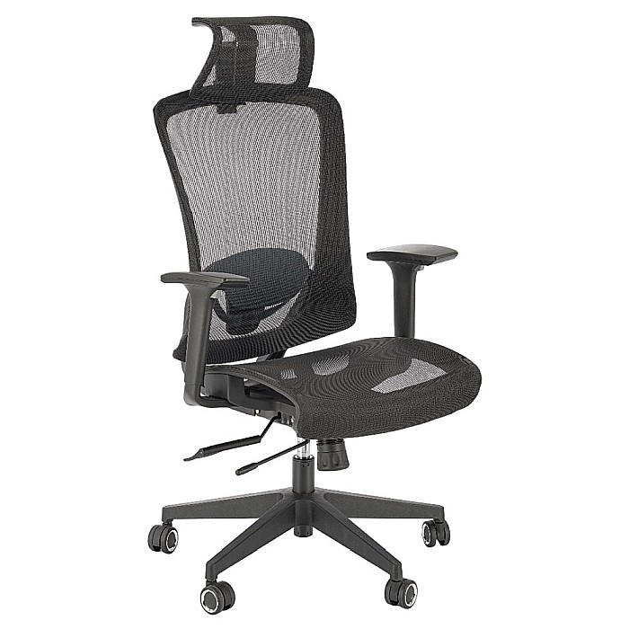 Scaun directorial cu tetiera HM Goliat [6]