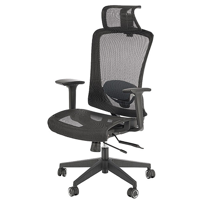 Scaun directorial cu tetiera HM Goliat [1]