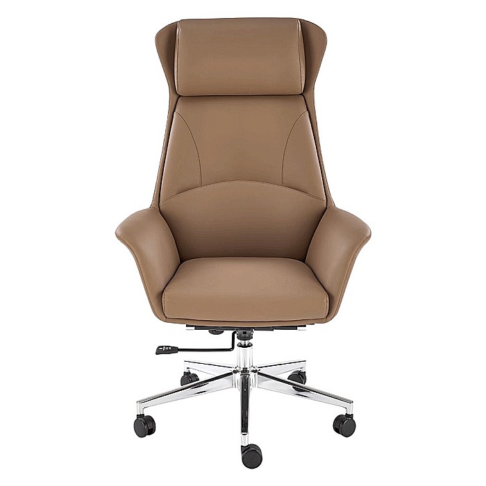 Scaun directorial HM Ederson, piele ecologica, fotoliu, elegant, mecanism multiblock, 100 kg, capuccino [3]