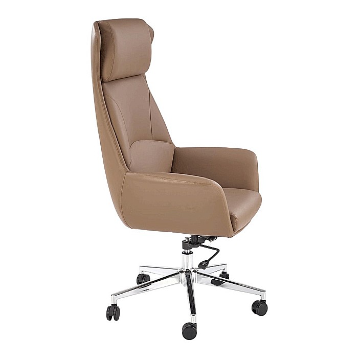 Scaun directorial HM Ederson, piele ecologica, fotoliu, elegant, mecanism multiblock, 100 kg, capuccino [6]