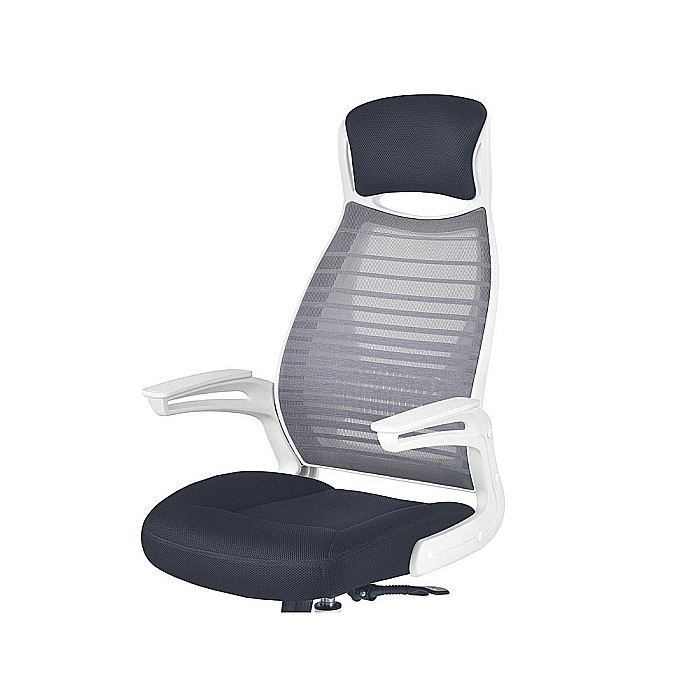 Scaun directorial HM Franklin, Mesh, Ergonomic, Inaltime ajustabila, Mecanism balansare, Mecanism Multiblock, Cu tetiera, 136 kg, 124x60x65 cm, Gri [4]