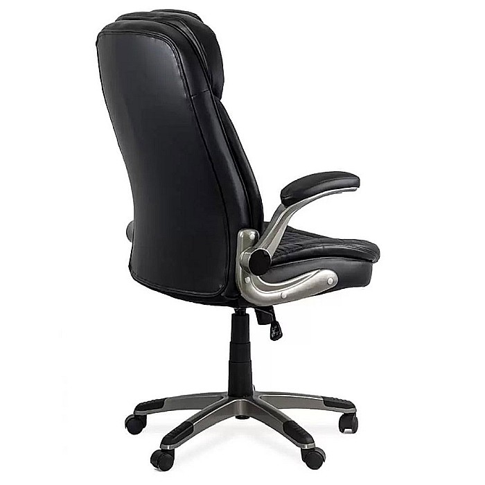 Scaun directorial OFF 320, piele ecologica, sezut cu arcuri, brate rabatabile, cadru polipropilena, 130 kg, negru [5]