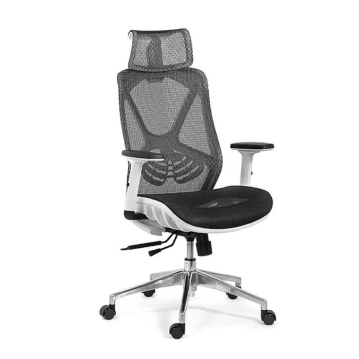 Scaun ergonomic multifunctional SYYT 9503, suport lombar, tetiera reglabila, multiblock, 120 kg [1]
