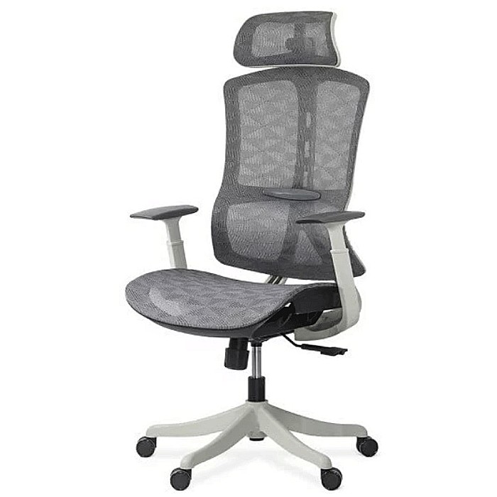 Scaun ergonomic multifunctional SYYT 9511 [2]