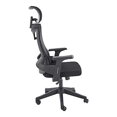 Scaun birou ergonomic HM Polon, mesh, mecanism inclinare, baza polipropilena, suport lombar, tetiera, 100 kg, negru [9]
